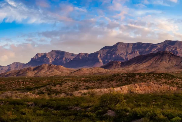 New Mexican Mountains
